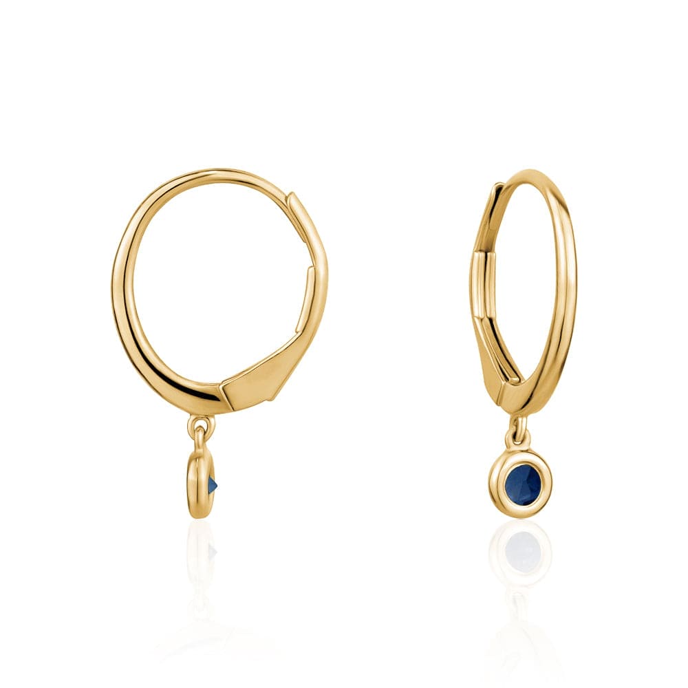 Elegant Gold Hoop Earrings