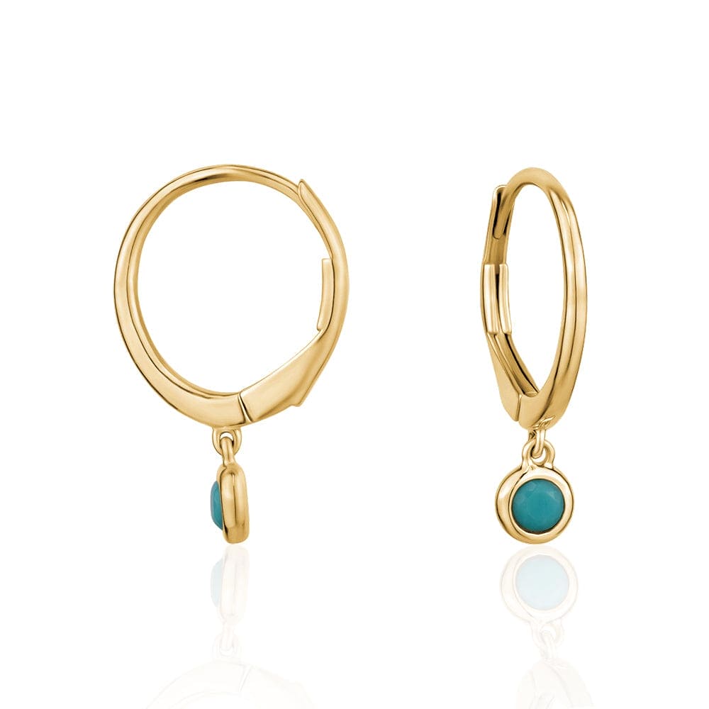 Elegant Gold Hoop Earrings